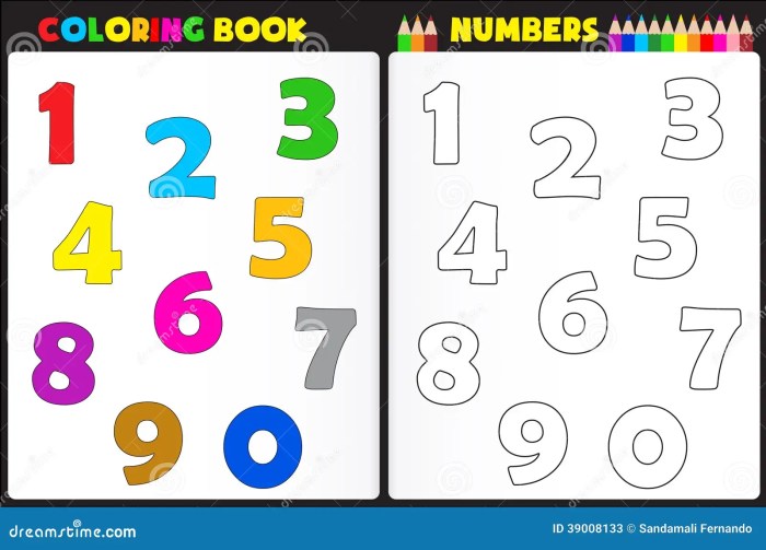 Color by number coloring books