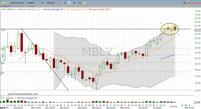 Mbl stock price