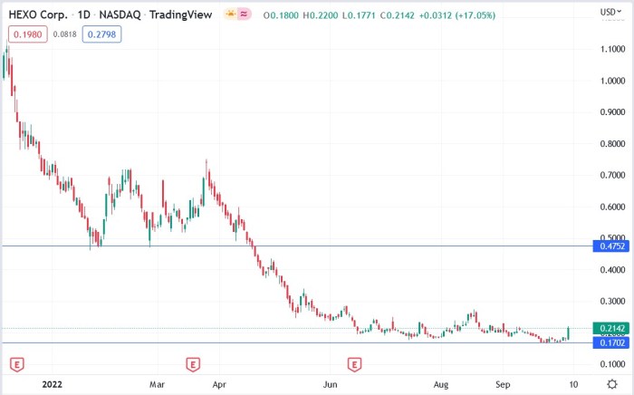 Lexeo therapeutics stock price