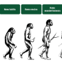 Life Cycle Stock Price A Comprehensive Guide