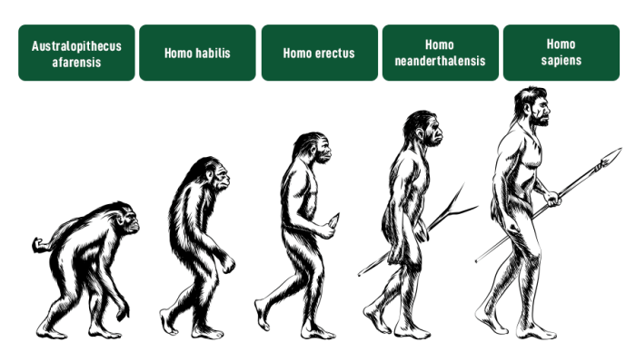 Life cycle stock price