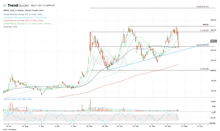 Mrna future stock price