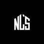 NLS Stock Price A Comprehensive Analysis