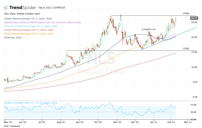 Nls stock price